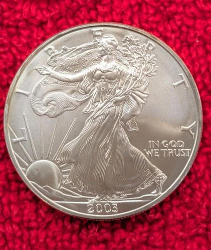 2003 Silver American Eagle (Walking Liberty) 1 oz Fine Silver Dollar Coin Cased