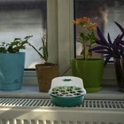 Bild 2 von 12