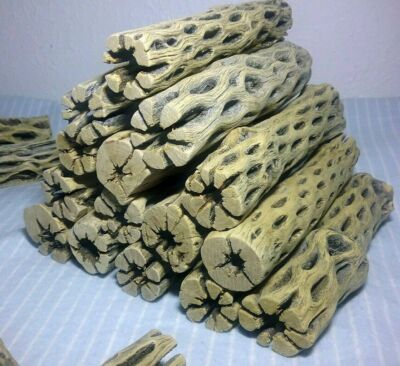 10 LARGE 6'' inch CHOLLA Wood | CLEANED! | AQUARIUM | Air Plant, Crafts | Cactus