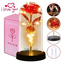 Eternal Forever Galaxy Rose Flower In Glass Dome LED Light Romantic Gift for Her