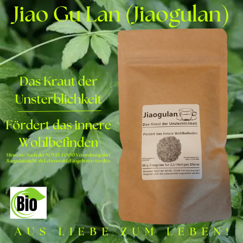 Jiaogulan (Gynostemma-Pentaphyllum) Premium Bio- Apothekerqualität