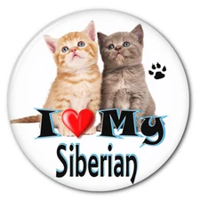  I LOVE MY SIBERIAN KITTEN CAT 3" SAFETY PIN BACK BUTTON