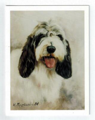 New Petite Basset Griffon Vendeen Head Study 6 Note Cards Artist Ruth Maystead