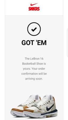 lebron bo jackson 16