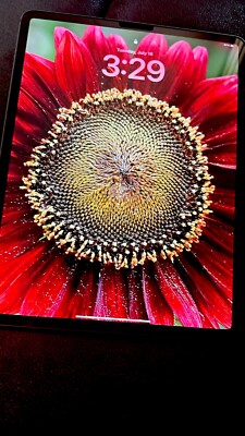 Apple iPad Pro 4 (2020) 4th Gen 12.9'' 128GB Space Gray (WiFi + Cellular) - Excel
