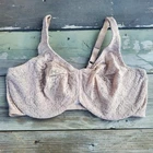 40DDD Wacoal Halo Lace Full Figure Underwire 65547 Beige Bra
