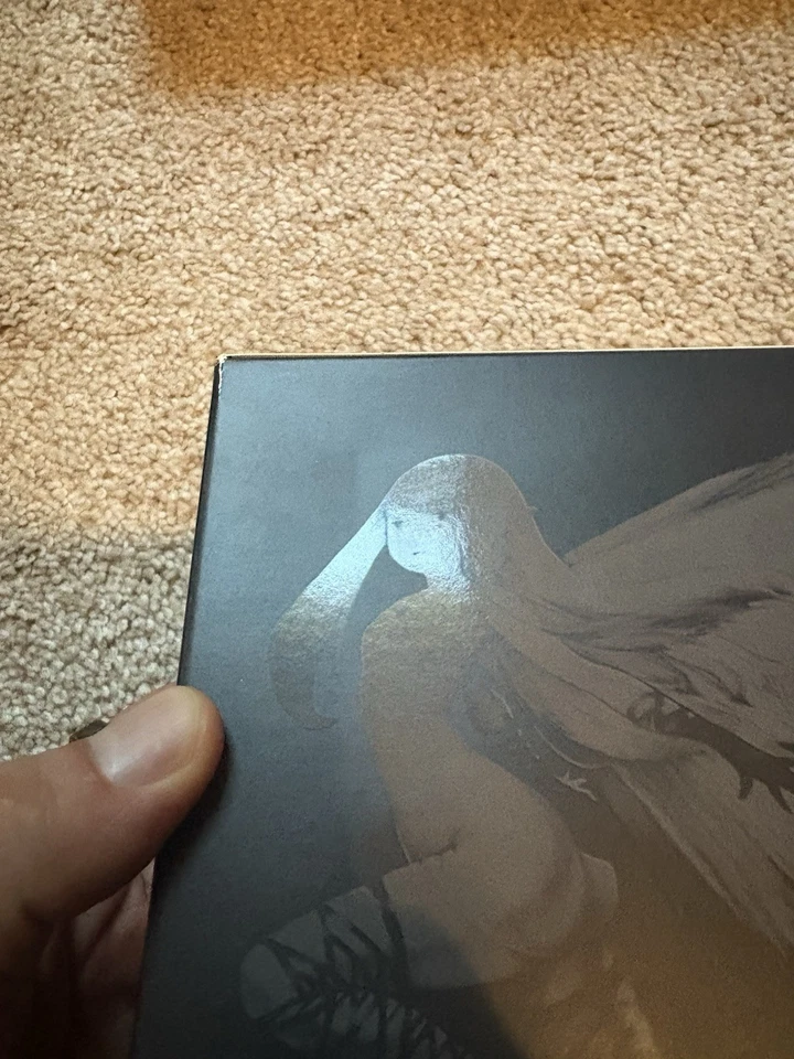 Bravely Default - Edición Coleccionista (Nintendo 3DS) Completo, Casi Como Nuevo Foto 3 de 4