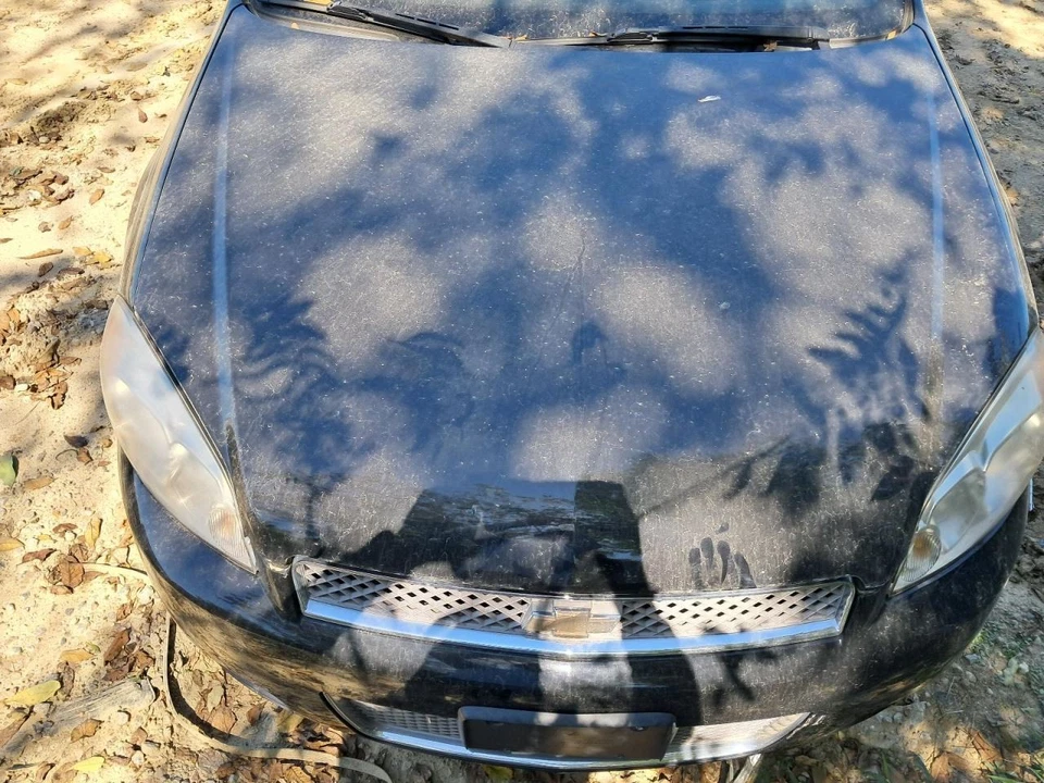 VIN maletero/portón trasero con cuarto dígito limitado compatible con 07-16 IMPALA 2660806 Foto 4 de 4