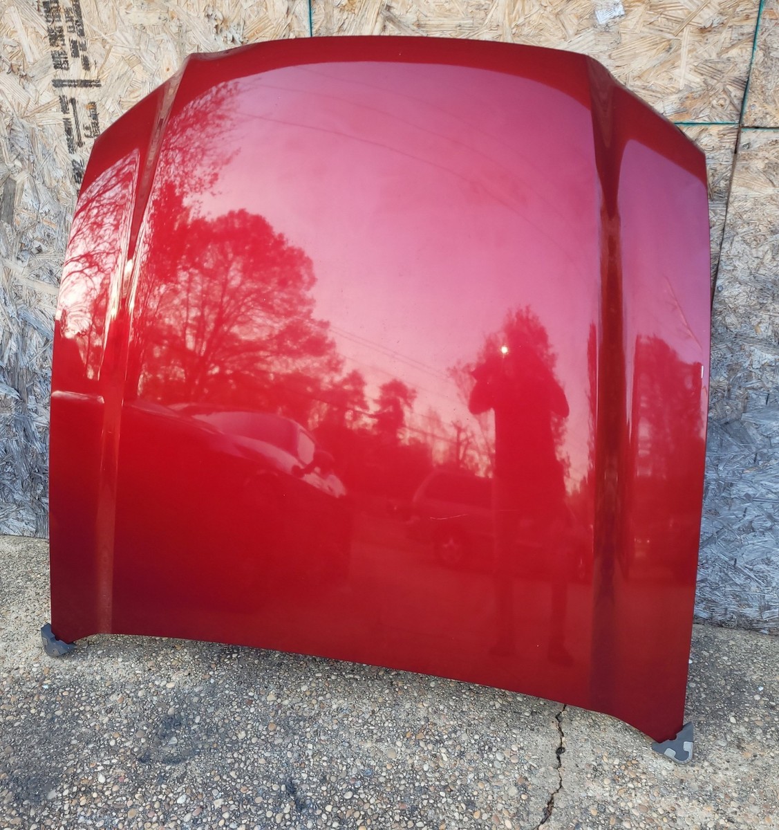 Used 2014 Ford Mustang Hood, 3.7L V6 Factory Ruby Red Metallic