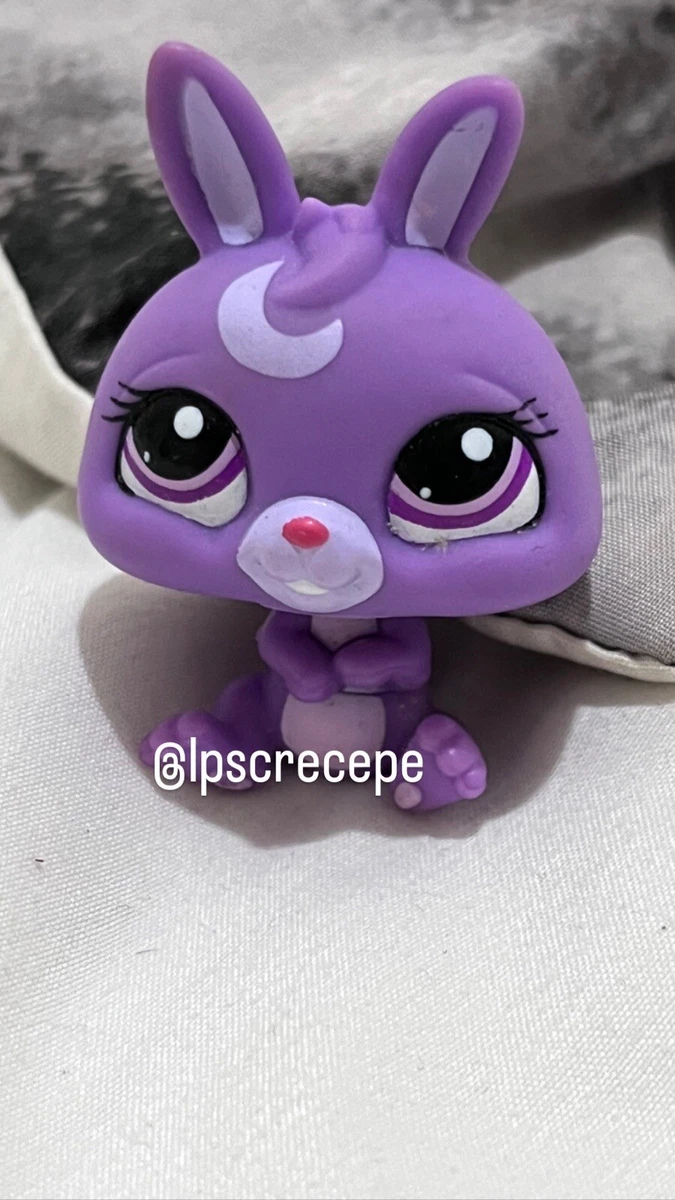 Littlest pet hotsell shop prototype