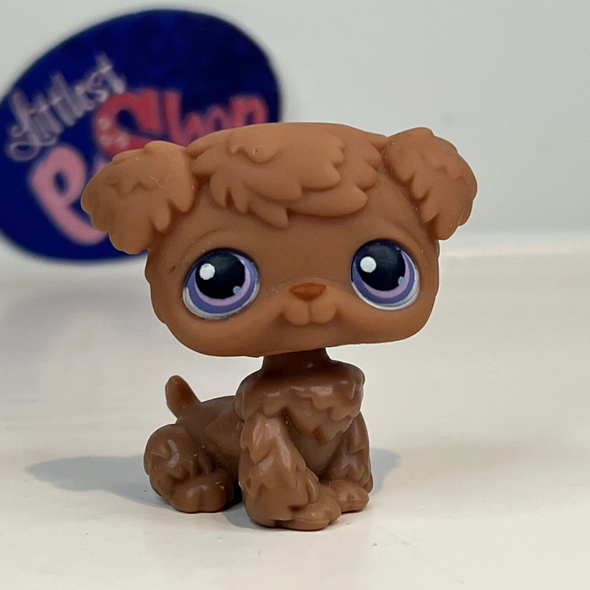 Littlest Pet Shop Poodle Lot -   Little pets, Little pet shop, Littlest  pet shop