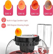 Incubators for Hatching Eggs, 12 Egg Incubator with Automatic Egg Turning and Hu