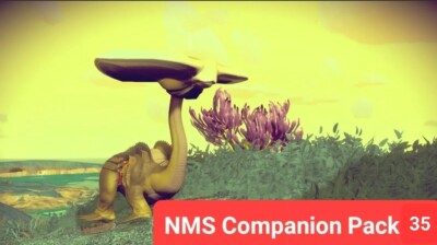 NMS No Man's Sky: Companion Pack 35 - DIPLO (PC/PS/Xbox)