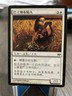 MTG Magic The Gathering Ballynock Trapper Chinese Eventide Regular Common 2008