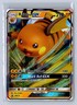 2019 Pokemon Hidden Fates Black Star Promo Raichu GX #SM213