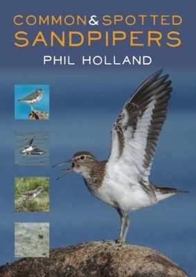 Common and Spotted Sandpipers by Phil Holland PAPERBACK 9781849953610