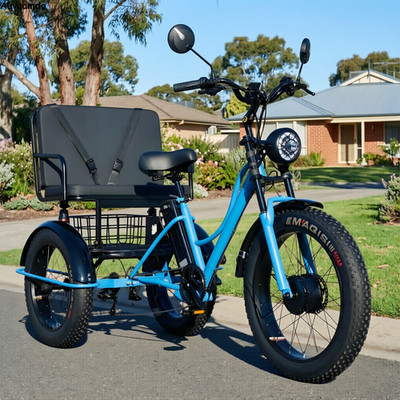 24 Inch Electric Tricycle FWD Dual Disc Brake 4.0 Fat Tyre With Seat 200kg US