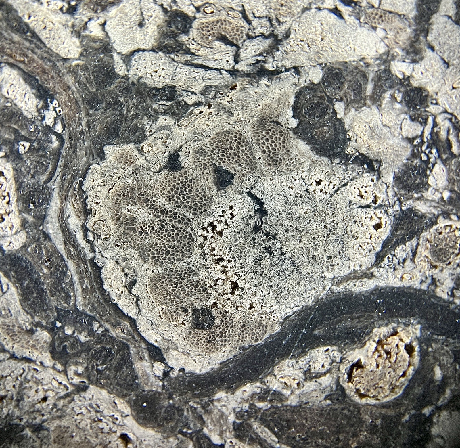 Picture 10 of 11