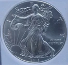 2015 - 1 oz American Silver Eagle Coin - One Troy oz .999 Bullion - BB001
