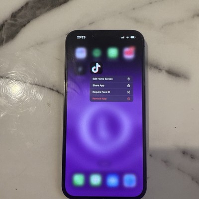 Apple iPhone 13 Pro Max mit Tiktok installiert 