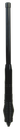 Foto 7 di 7