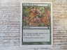 1x Might of Oaks - 8th Edition - NM - Italian - OOP MTG