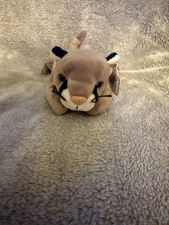 TY Beanie Baby Babies CANYON The Cougar P.E. Pellets TAG ERRORS Vintage 1998