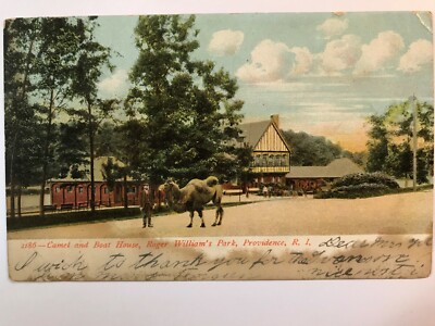 Vintage Postcard 1901-1907 Camel & Boat House, Roger Williams Pk, Providence RI