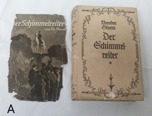 Vintage 1930s Der Schimmelreiter by Theodor Storm White Horse Rider German Novel