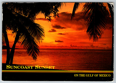 c1960s Suncoast Sunset Gulf of Mexico Florida Vintage Postcard Continental