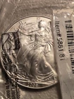 2008 American Eagle Siver Dollar Uncirculated
