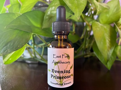 Evening Primrose Tincture 1 oz. Wildcrafted