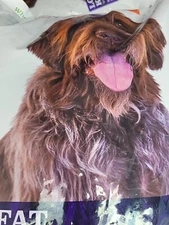 Rayne kangaroo -MAINT 4.4 LB Chickpea formula ex 5/26  Chic Pea free ship Sm Nik