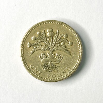 1984 Elizabeth II D G REG F D Scottish Thistle One Pound 1984 Elizabeth II D G REG F D Scottish Thistle One Pound