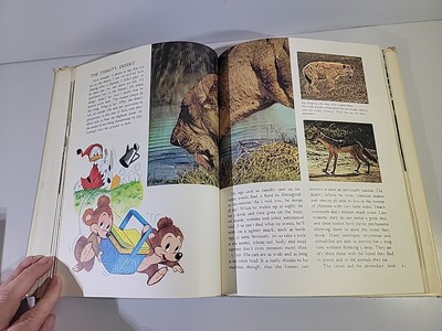 Disney's Wonderful World of Knowledge 1971 Volume 1 Animals | eBay