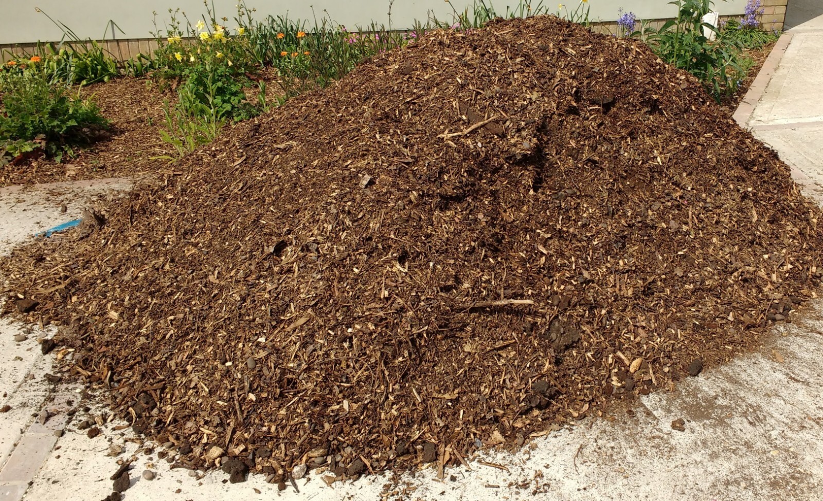 Wood chippings / Woodchip / mulch / bark / garden / chickens / coop