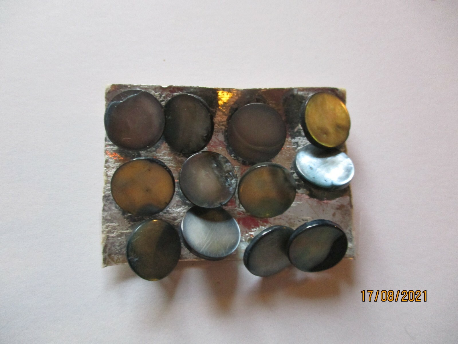 Bild 5 von 5