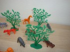 Foto 3 di 4