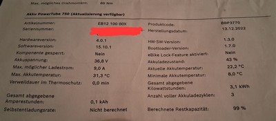 Bosch PowerTube BBP3770 HORIZONTAL Smart System 36V 20.1Ah E-Bike / 3 Ladezyklen