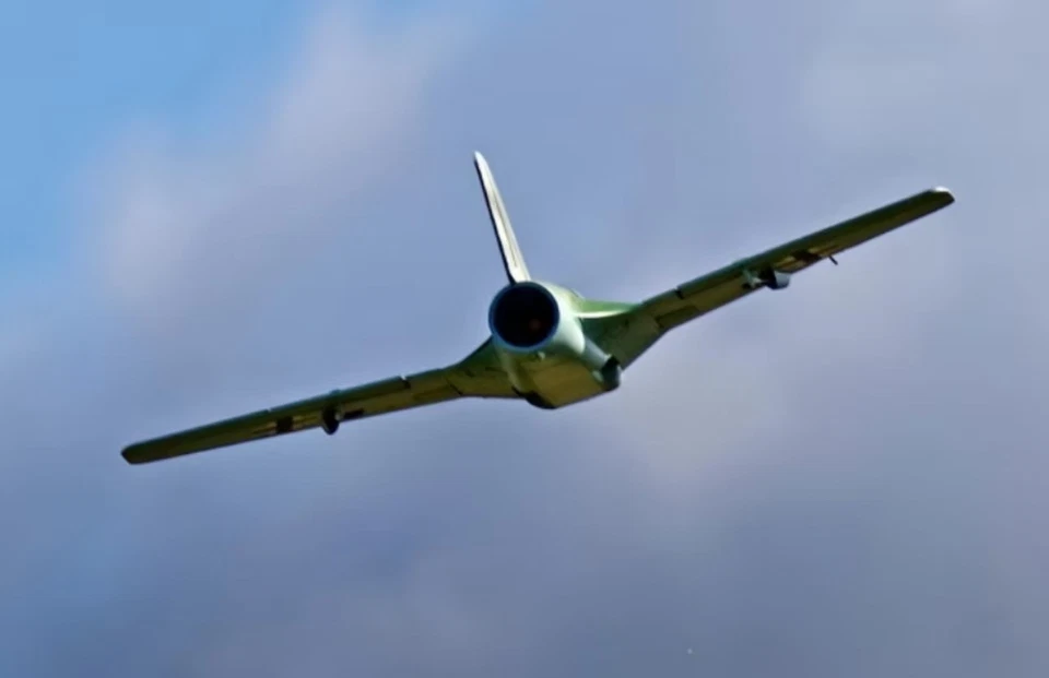 Freewing Lippisch P.15 64mm EDF Jet - PNP - Image 2 of 4