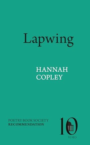 Lapwing by Hannah Copley NEW Free UK Delivery - Image 6