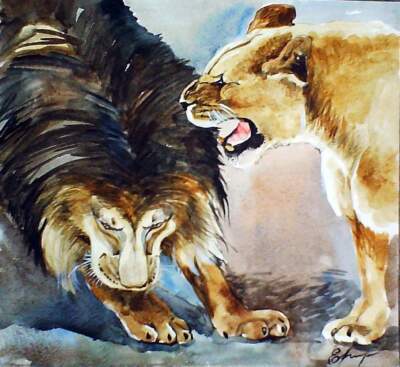 H.Schmidt Löwe*Kleiner Streit*lion raubtier afrika westenberger Aquarell 21x20cm
