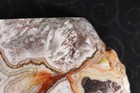 Crazy Lace Agate Thick Slab -  2 Lbs, 1.8 Ozs  - Lapidary - Display — photo 7