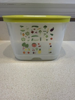 Fridge Smart Small Deep Fruits and Vegetable Storage Container