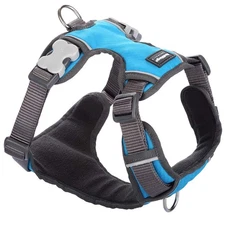 Red Dingo - Padded Harness Turquoise XS