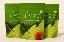 (3-PACK) Premium Mushroom Matcha Powder –Functional Superfood Blend 30 Servings