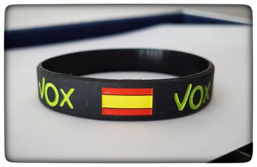 VOX PIN DE VOX PLATA DE LEY 925 ML ESPAÑA VOX ESPAÑA - Picture 4 of 6
