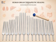 Human Organ Therapeutic Healing 15 Tuning forks with FREE Mallet  Pouch