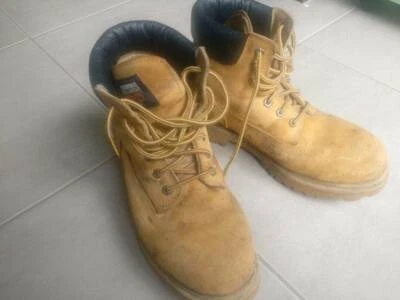 timberland cavendish online