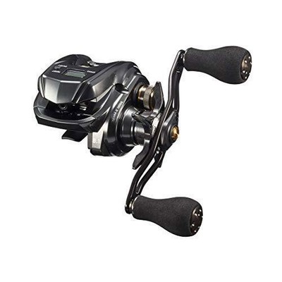 Daiwa 20 TIERRA IC 100XHL Baitcasting Reel | eBay